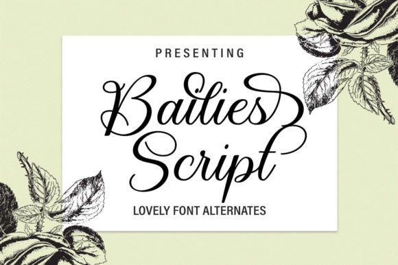 Bailies Script: Elegant Handwritten Font