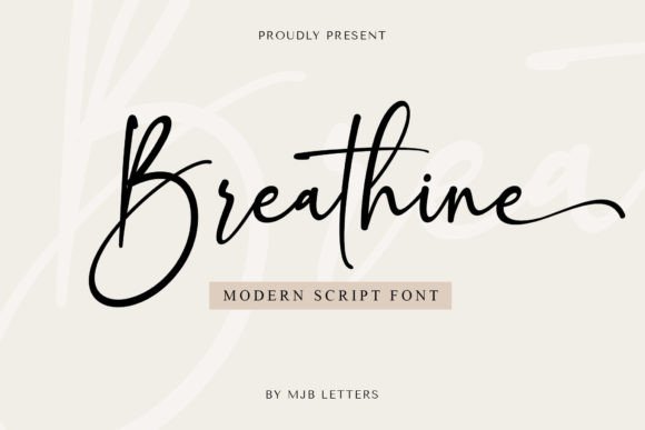 Beautiful Script Font for Creative Makers